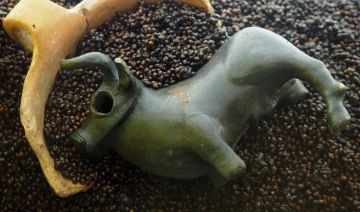 býček z Býčí skály